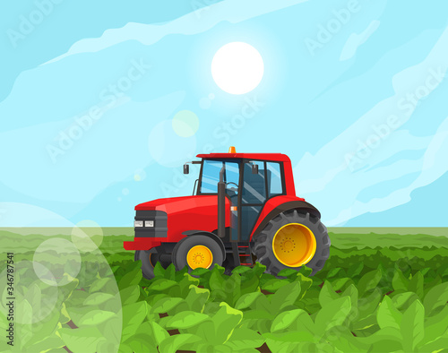 Vector illustration of a red agricultural tractor tractor on a green field.
