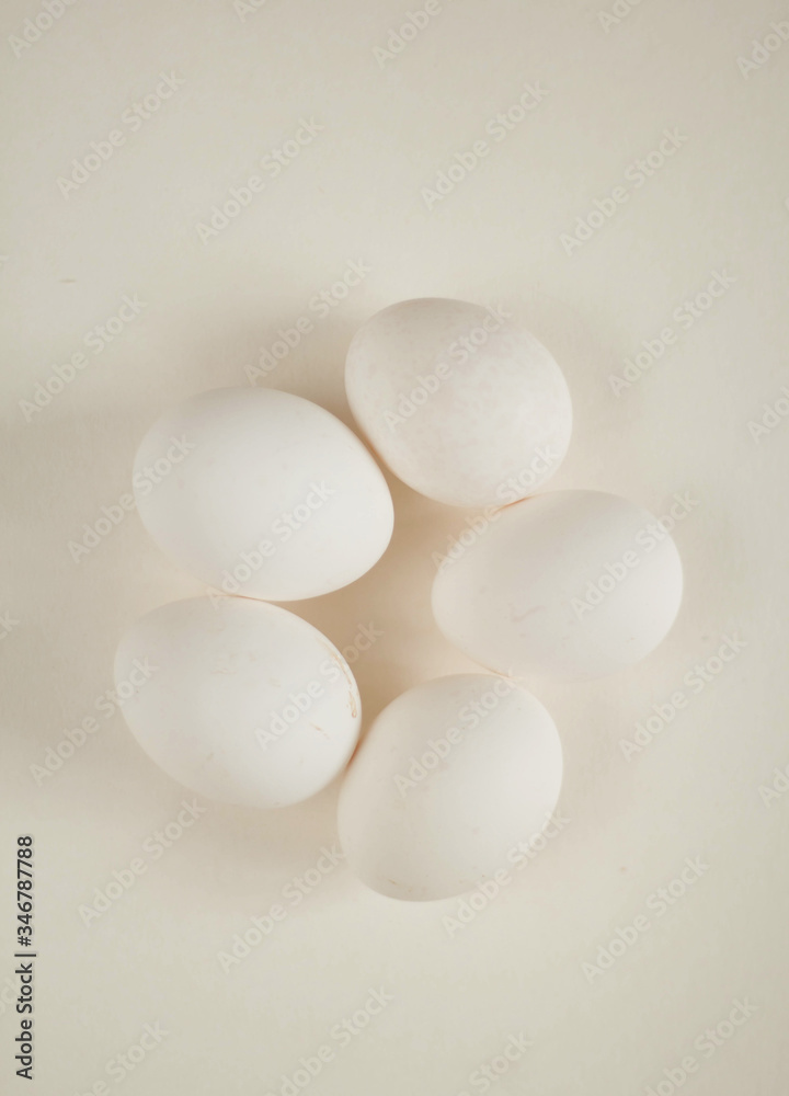 White chicken eggs White chicken eggs