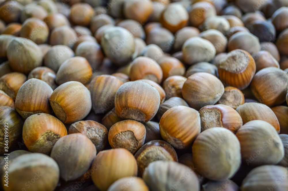 Organic hazelnuts close up background Organic hazelnuts close up background