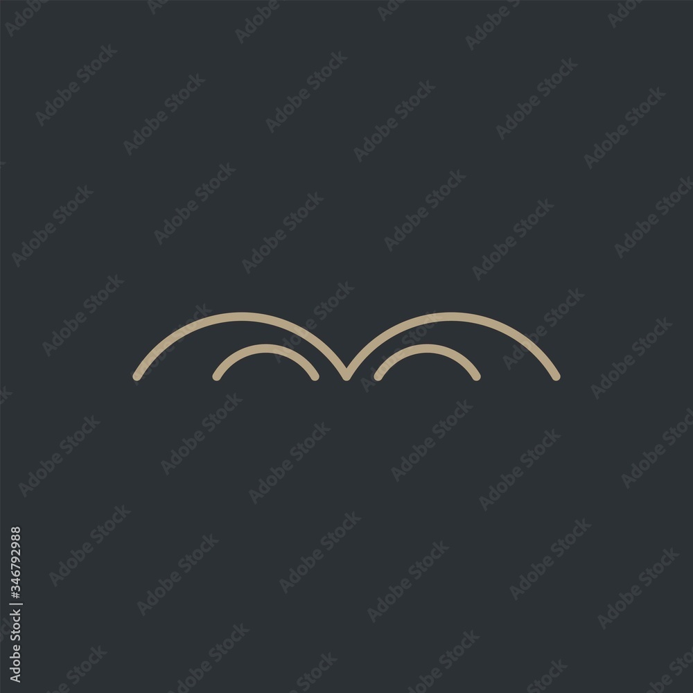 Fototapeta premium Bridge logo design with premium concept