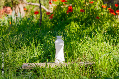 Bottle of milk or kefir on green nature background. 1 June Wold Milk Day concept