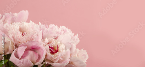 Fototapeta Naklejka Na Ścianę i Meble -  bouquet of peonies on pink background