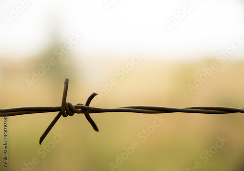 Razor wire fence with blurred background
