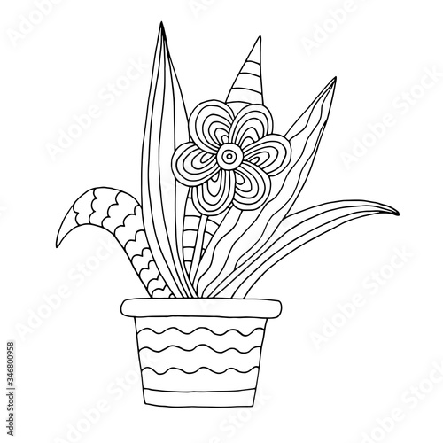 Hand-drawn flower pot, coloring page