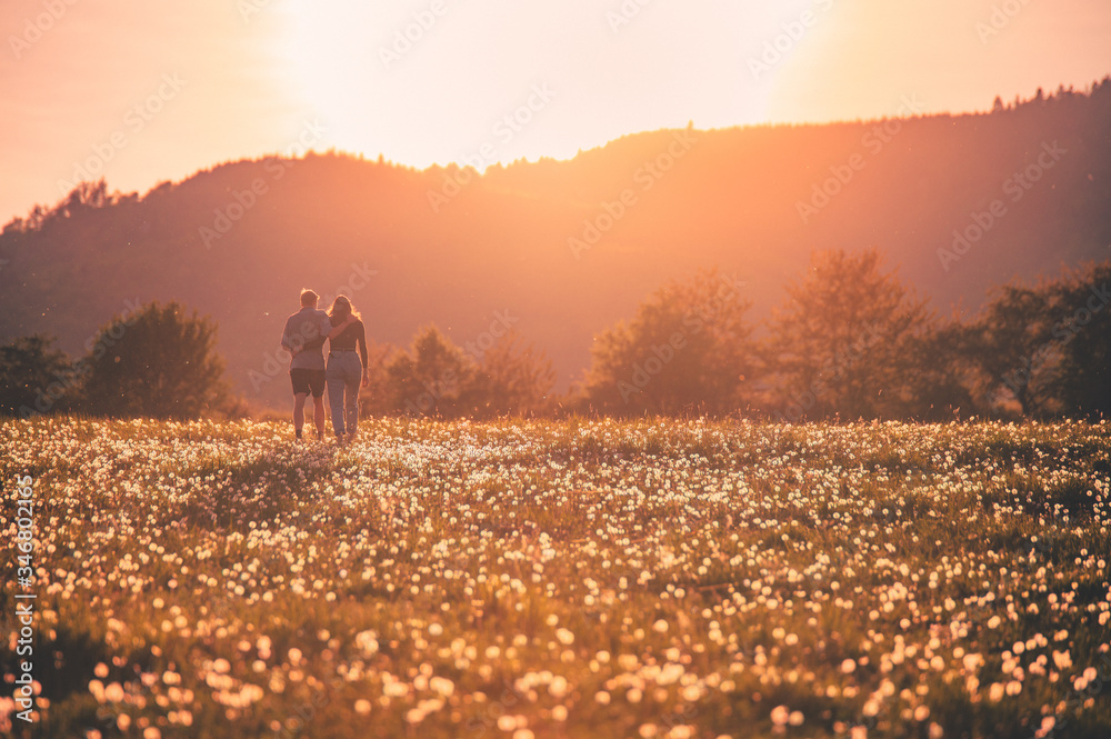 Couple silhouette on dandelions field in spring sunset light