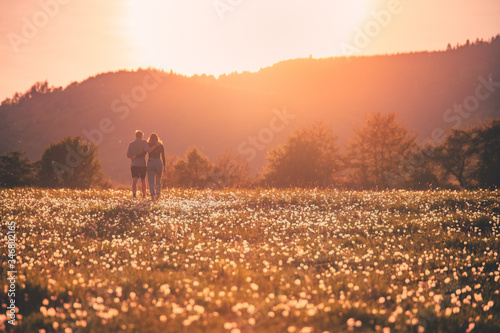 Fototapeta Naklejka Na Ścianę i Meble -  Couple silhouette on dandelions field in spring sunset light