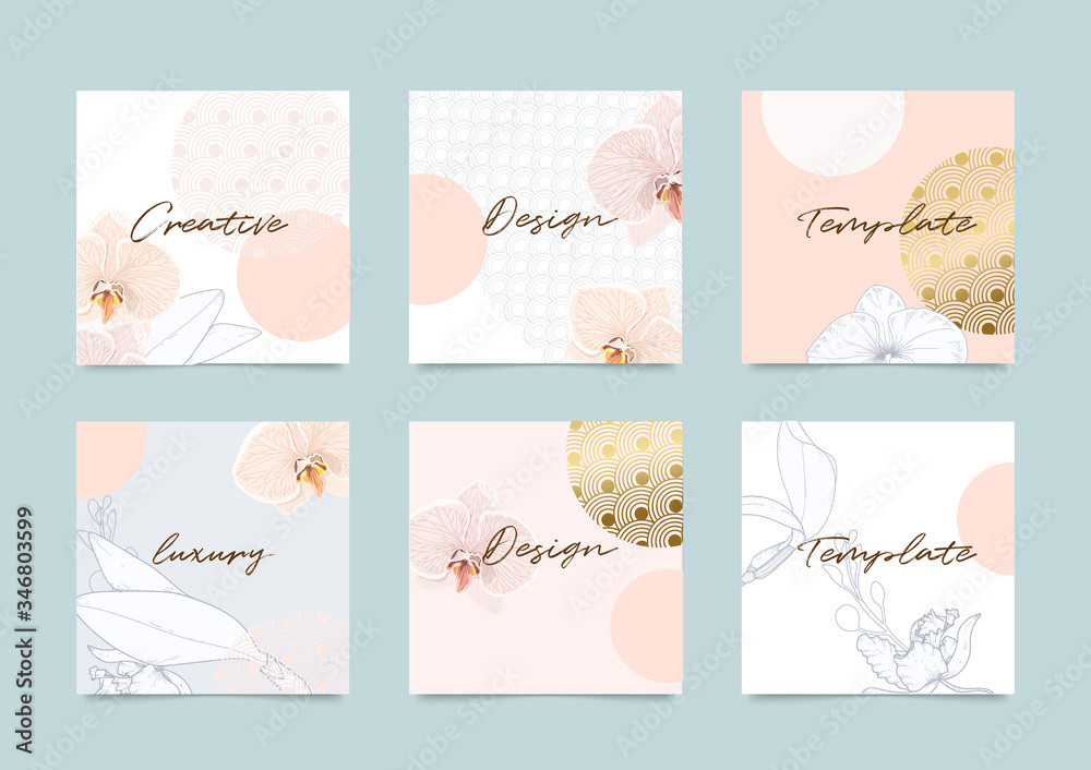Social media stories and post vector background template with copy space for text and images design by abstract pink and Gold shapes, line arts ,flower, Japanese Cover, invitation design background.