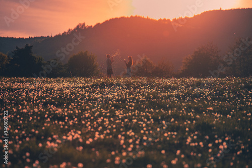 Couple silhouette on dandelions field in spring sunset light. Man and woman have fun in nature