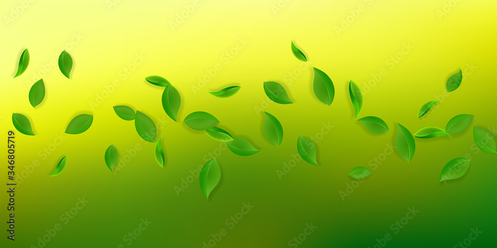 Fototapeta premium Falling green leaves. Fresh tea neat leaves flying