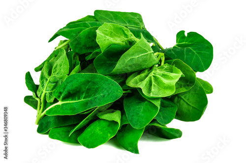 raw spinach leaves on white