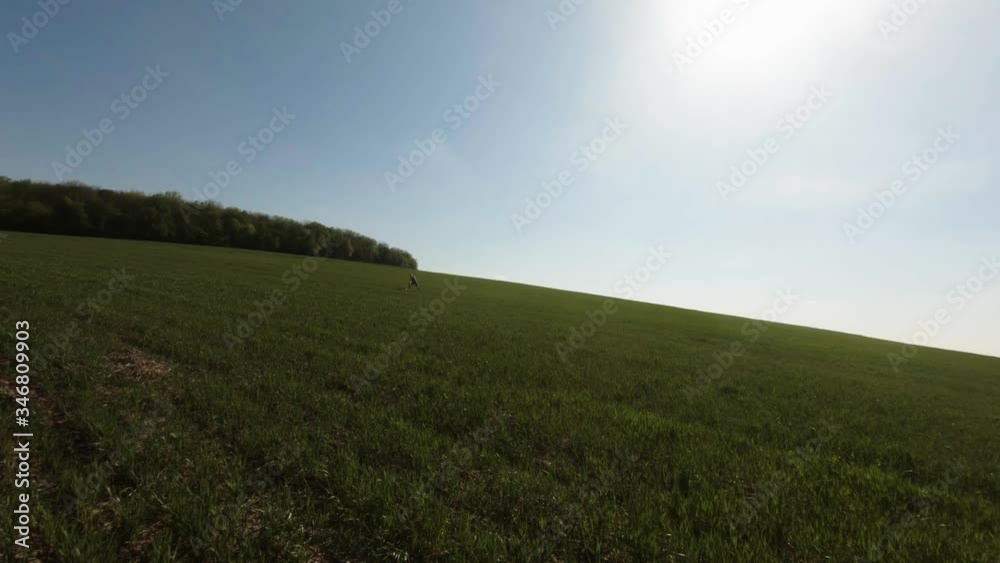 Aerial fpv drone shot of fitness woman stretching yoga exercises in nature. Creative authentic shot Aerial fpv drone shot of fitness woman stretching yoga exercises in nature. Creative authentic shot