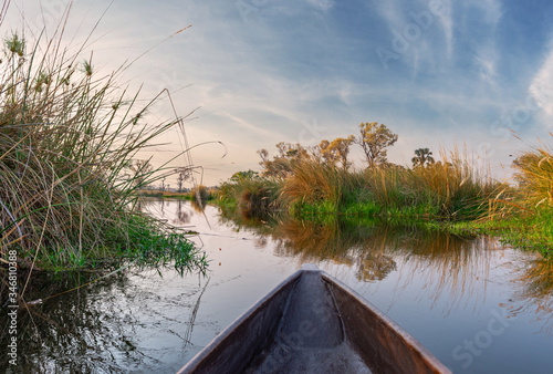 Boat trip in a traditional Makoro at the Okavango Delta, Botswana photo