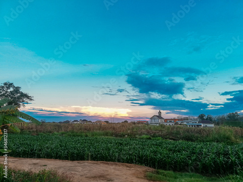 vineyard in tuscany