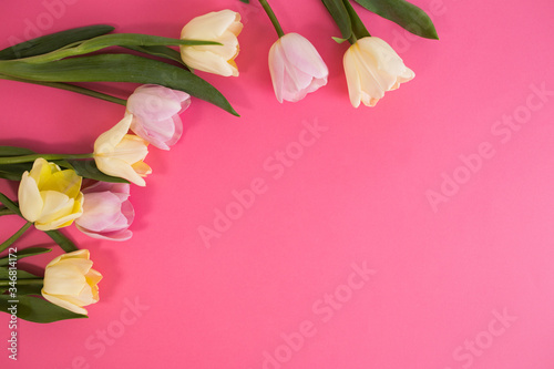 Fototapeta Naklejka Na Ścianę i Meble -  Bouquet of tulips on pink background
