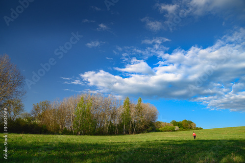 Green spring meadow and blue sky. Female hiker walking on spring landscape