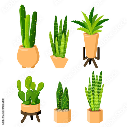 Succulent sticker set on white isolated backdrop. House plant icon for gift card, home plants store logo, bath tile, web landing page. Phone case or cloth print. Flat style stock vector illustration