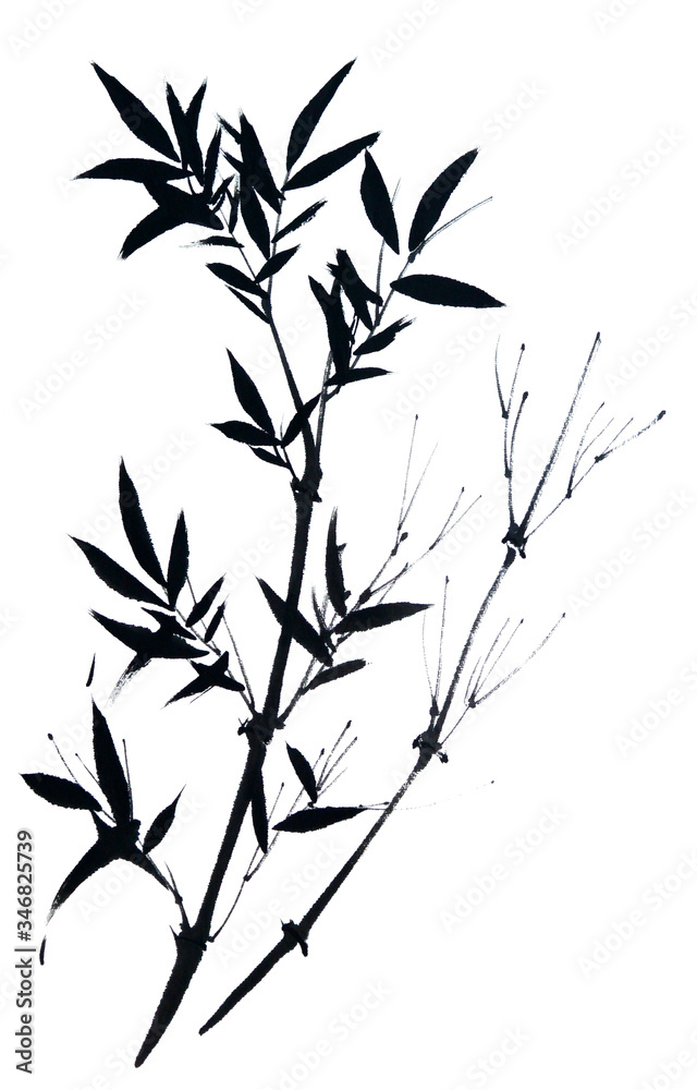 Oriental style painting of bamboo. Traditional chinese ink and wash painting isolated on white background. Original hand drawn watercolor stock illustration. Oriental style painting of bamboo. Traditional chinese ink and wash painting isolated on white background. Original hand drawn watercolor stock illustration.