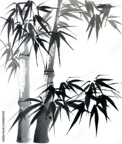 Oriental style painting of bamboo. Traditional chinese ink and wash painting isolated on white background. Original hand drawn watercolor stock illustration.