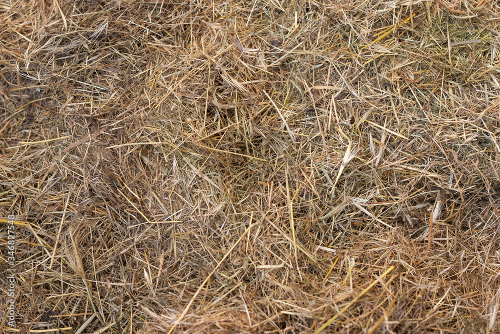 Hay texture. Hay bales are stacked in large stacks. Harvesting in agriculture. Hay texture. Hay bales are stacked in large stacks. Harvesting in agriculture.
