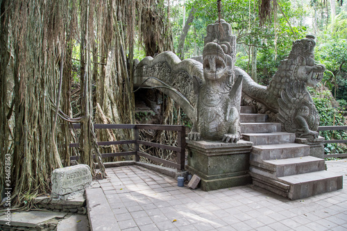 Monkey forest, ubub, Bali Island photo