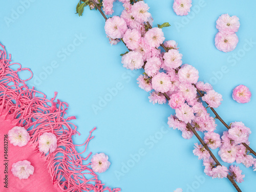 A branch of a flowering almond women s tippet on a blue background.