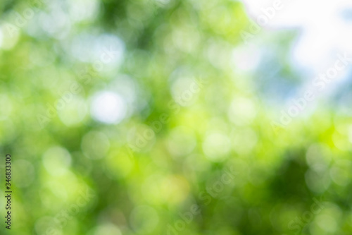 Green bokeh on nature abstract blur background green bokeh from tree © Ton Photographer4289