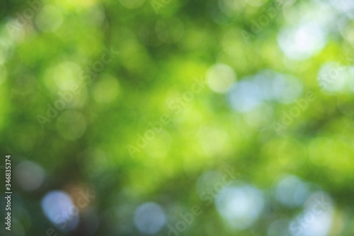 Green bokeh on nature abstract blur background green bokeh from tree