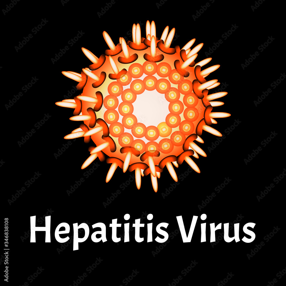 Hepatitis virus structure. Viral infection Hepatitis. Sexually transmitted diseases. Infographics. Vector illustration on isolated background. Hepatitis virus structure. Viral infection Hepatitis. Sexually transmitted diseases. Infographics. Vector illustration on isolated background.