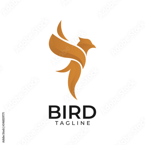 Colorful abstract bird logo design template