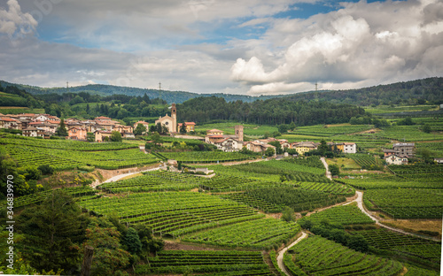 Cembra Valley landscape : vineyard surround the village of Cembra, Valle di Cembra, Trentino Alto Adige, northern Italy