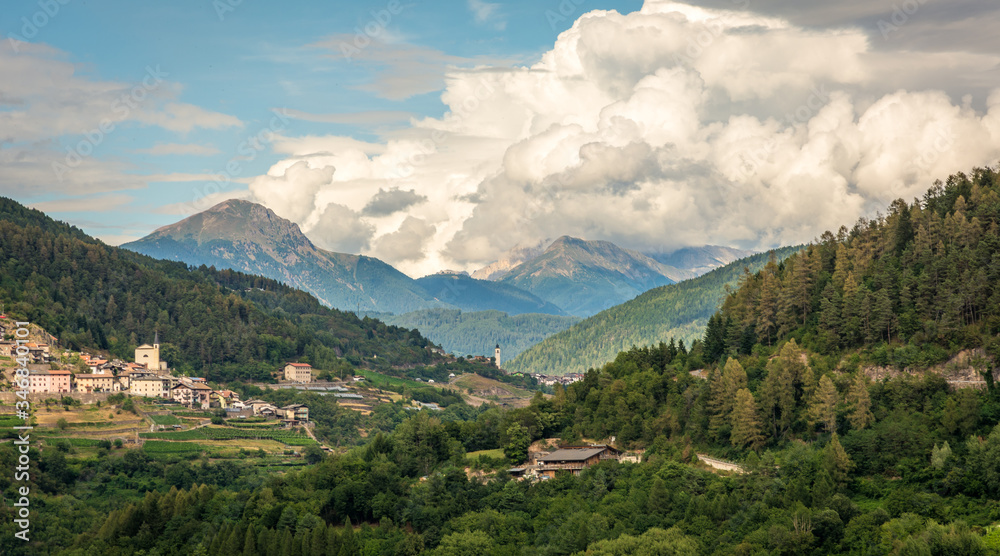 Cembra Valley landscape : vineyard surround the village of Cembra, Valle di Cembra, Trentino Alto Adige, northern Italy