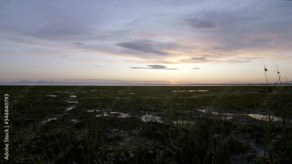 Camera tracks forward towards marshy beach at Sunset Camera tracks forward towards marshy beach at Sunset