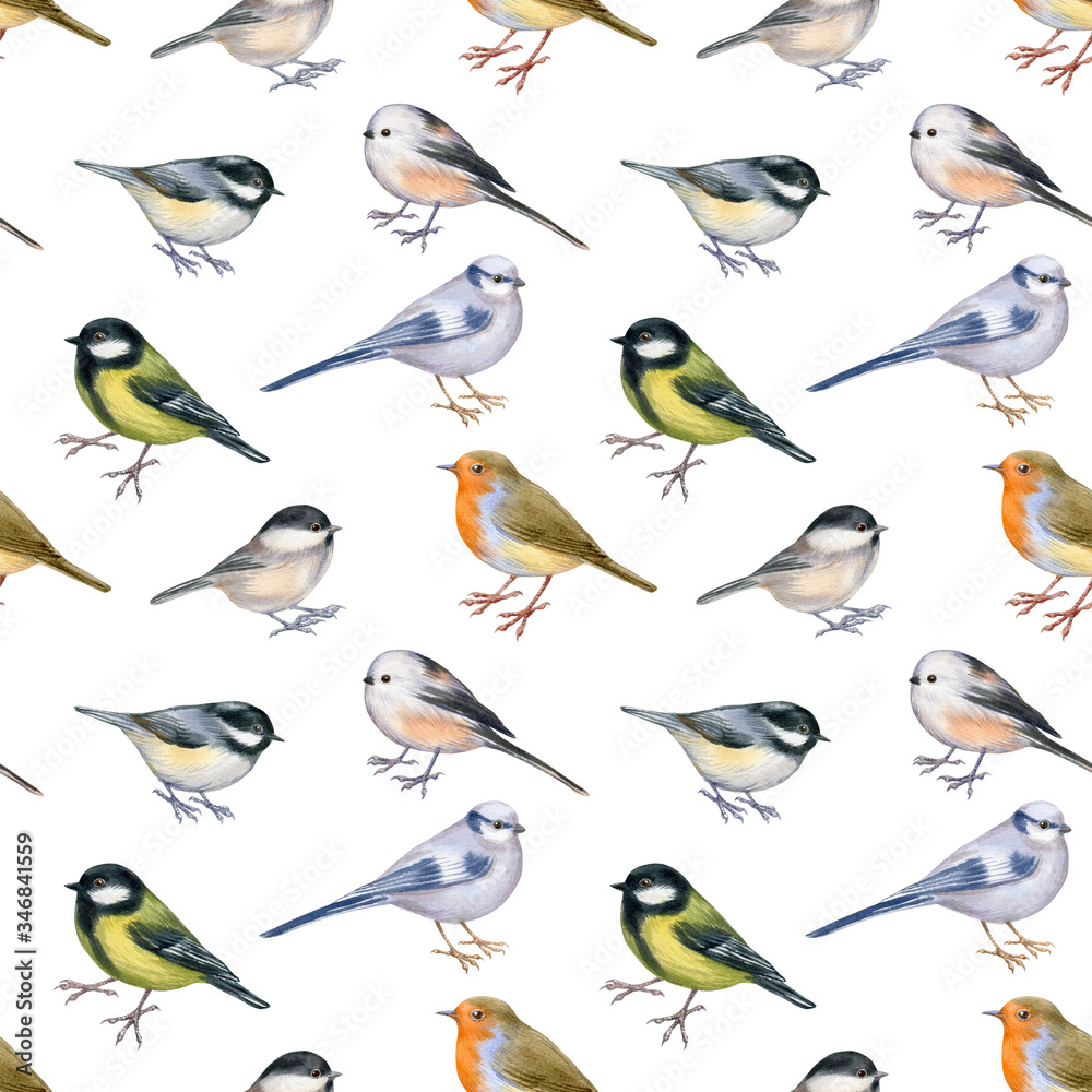 Festive endless texture. Watercolor of birds isolated on white.  Seamless pattern for greeting design. Hand drawn stock illustration.