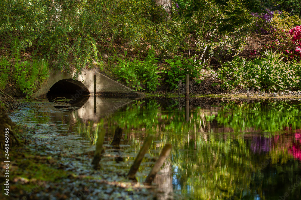 Spring landscape with pond and Rhododendron flowers. Spring landscape with pond and Rhododendron flowers.