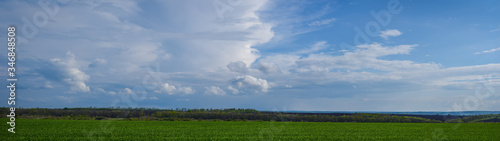 Blue sky with clouds over a field of young green wheat panoramic web banner
