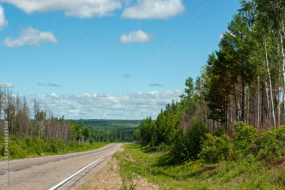 the road goes into the distance, along the edges of the road forest , over the road the sky with white-gray clouds