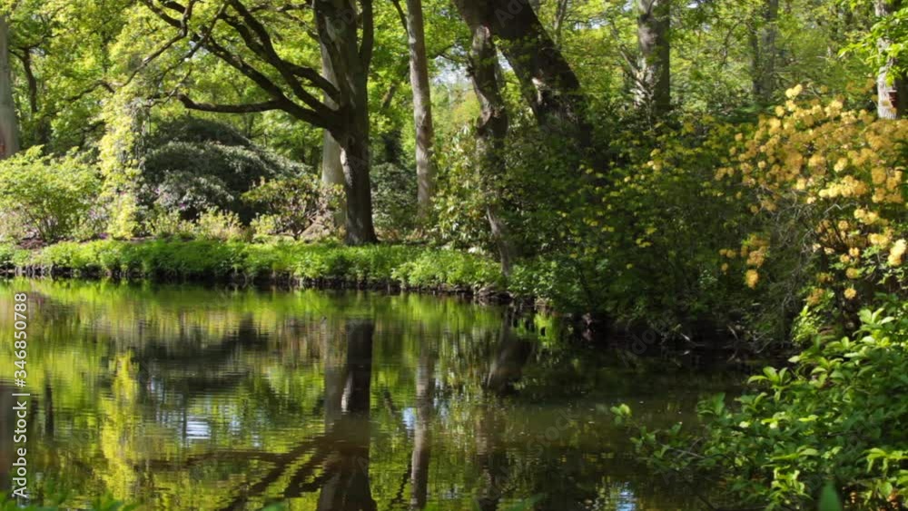 Spring landscape with pond and Rhododendron flowers. Spring landscape with pond and Rhododendron flowers.
