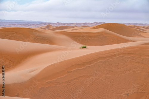 Horizonless Sand Dunes in Wahiba Sands Desert  Oman