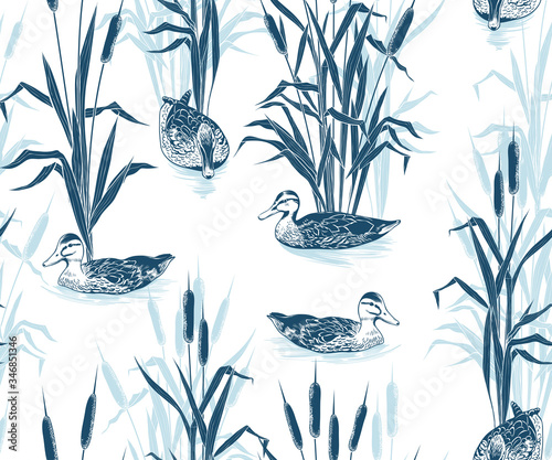 . .Bulrushes and wild ducks. Hand drawn monochrome seamless pattern on a white background. Vector vintage illustration .