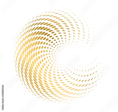 golden Design elements 3d shell swirl circle elegant form10