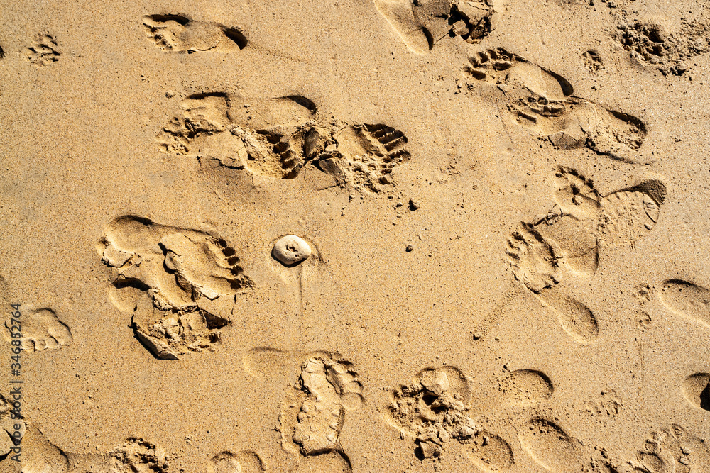 Top view of the empty yellow wet sandy beach. Background with visible texture and footprints. Close-up beach sand in the summer. Thailand. Granular surface. Top view of the empty yellow wet sandy beach. Background with visible texture and footprints. Close-up beach sand in the summer. Thailand. Granular surface.