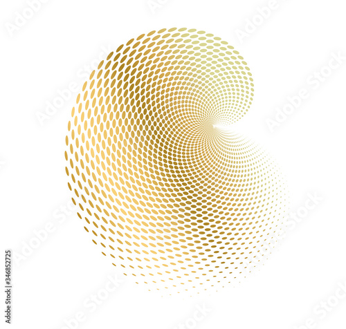 golden Design elements 3d shell swirl circle elegant form12