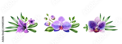 Watercolor Orchid set. Purple flower bouquets with palm leaves. Colourful tropical plants collection in bloom isolated on white. Hand painted botanical floral illustration