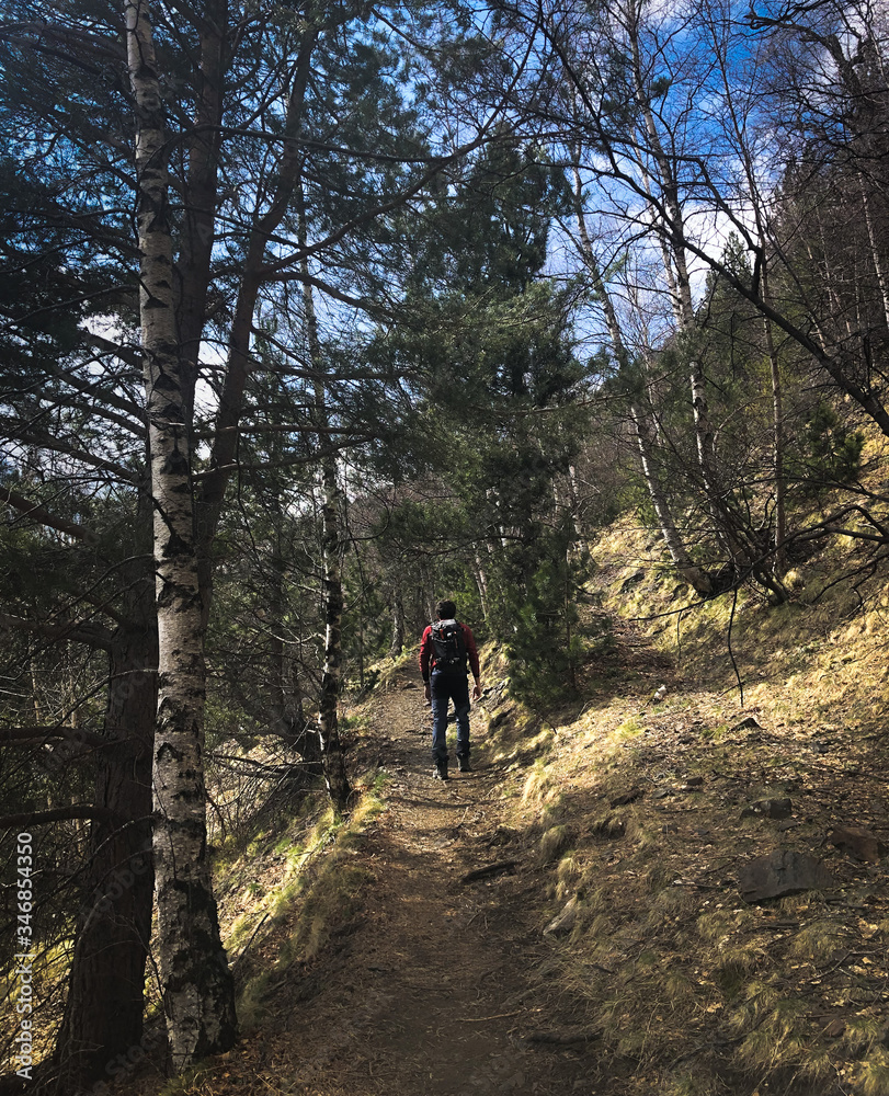 man hiking in the woods