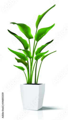  vector floor house green plant. Isolated on white illustration icon in white pot..