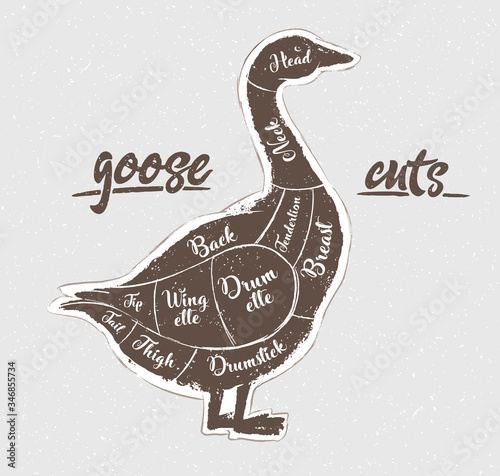 Graphic silhouette of a goose with the line of cutting for the butcher.