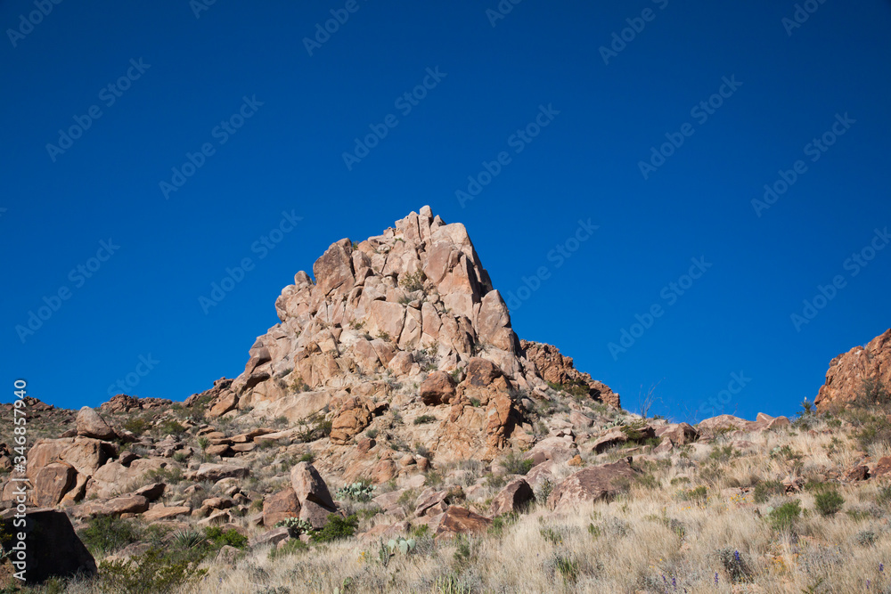 Fototapeta premium Desert Landscape from Big Bend