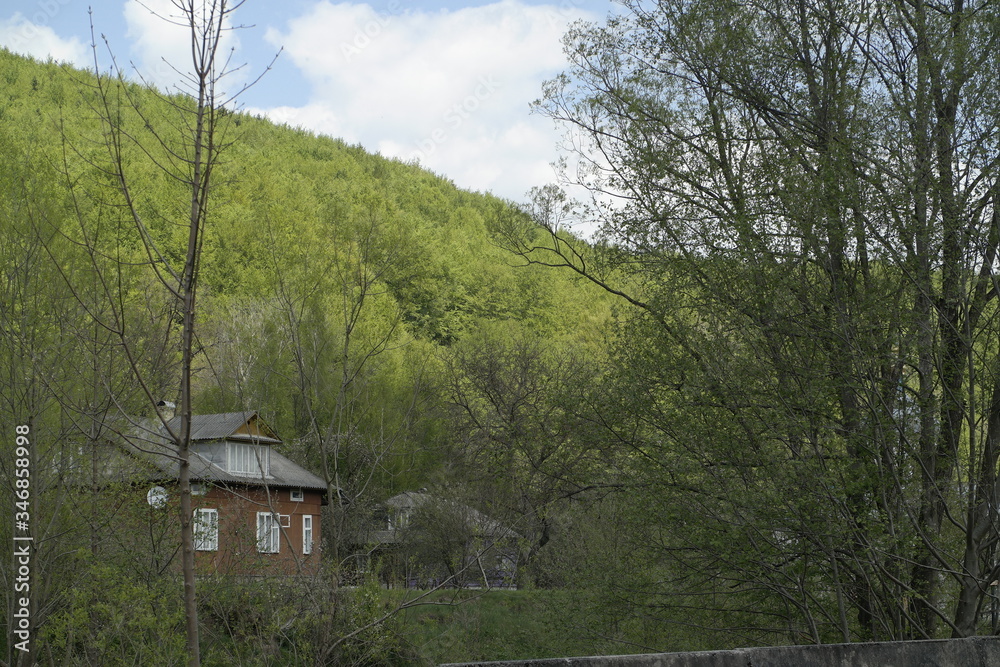 house in the woods house in the woods