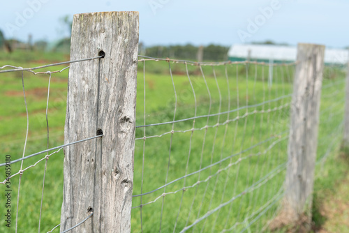 rural farming  fence with posts and wire