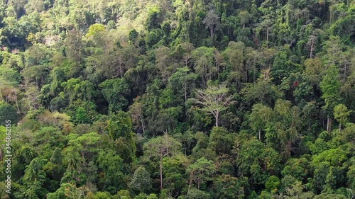 Wallpaper Mural Pan shot of Aerial view of Asia rainforest. Flight over the jungle by Drone. Day time with clouds and blue sky. Torontodigital.ca